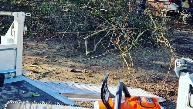 Offergeld&Bouamoud GBR